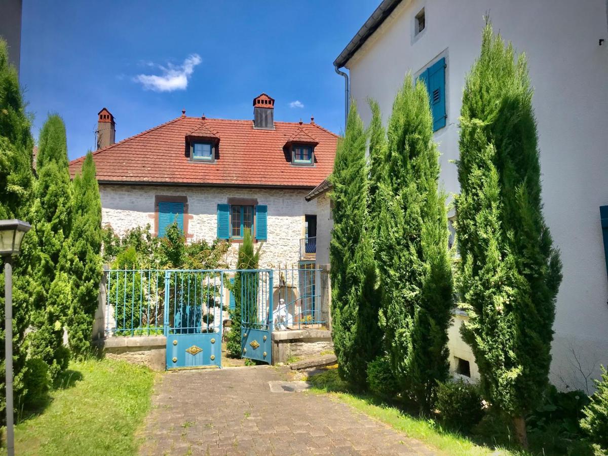 Manoir Saint-Pierre Bed & Breakfast Villersexel ภายนอก รูปภาพ