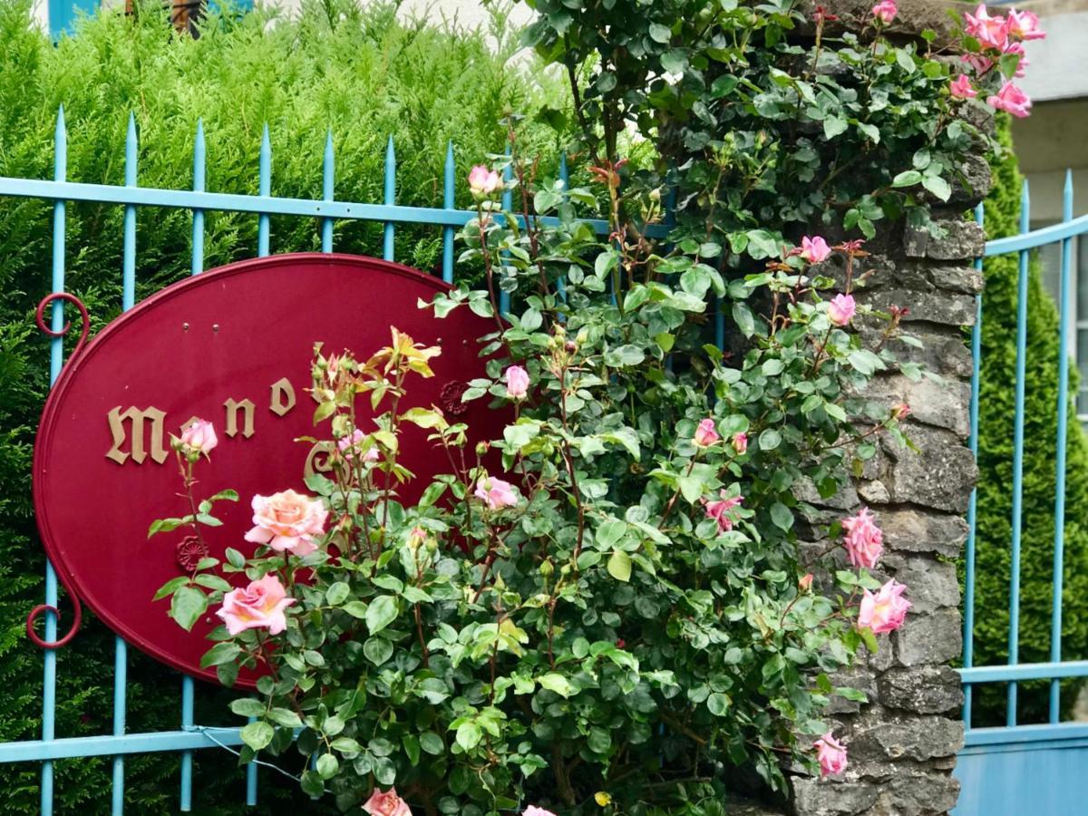 Manoir Saint-Pierre Bed & Breakfast Villersexel ภายนอก รูปภาพ