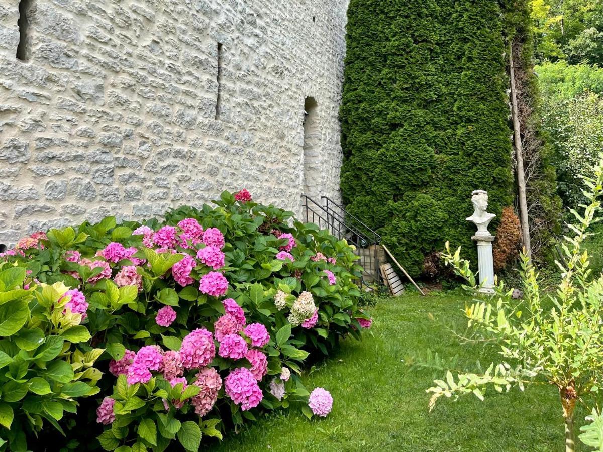 Manoir Saint-Pierre Bed & Breakfast Villersexel ภายนอก รูปภาพ