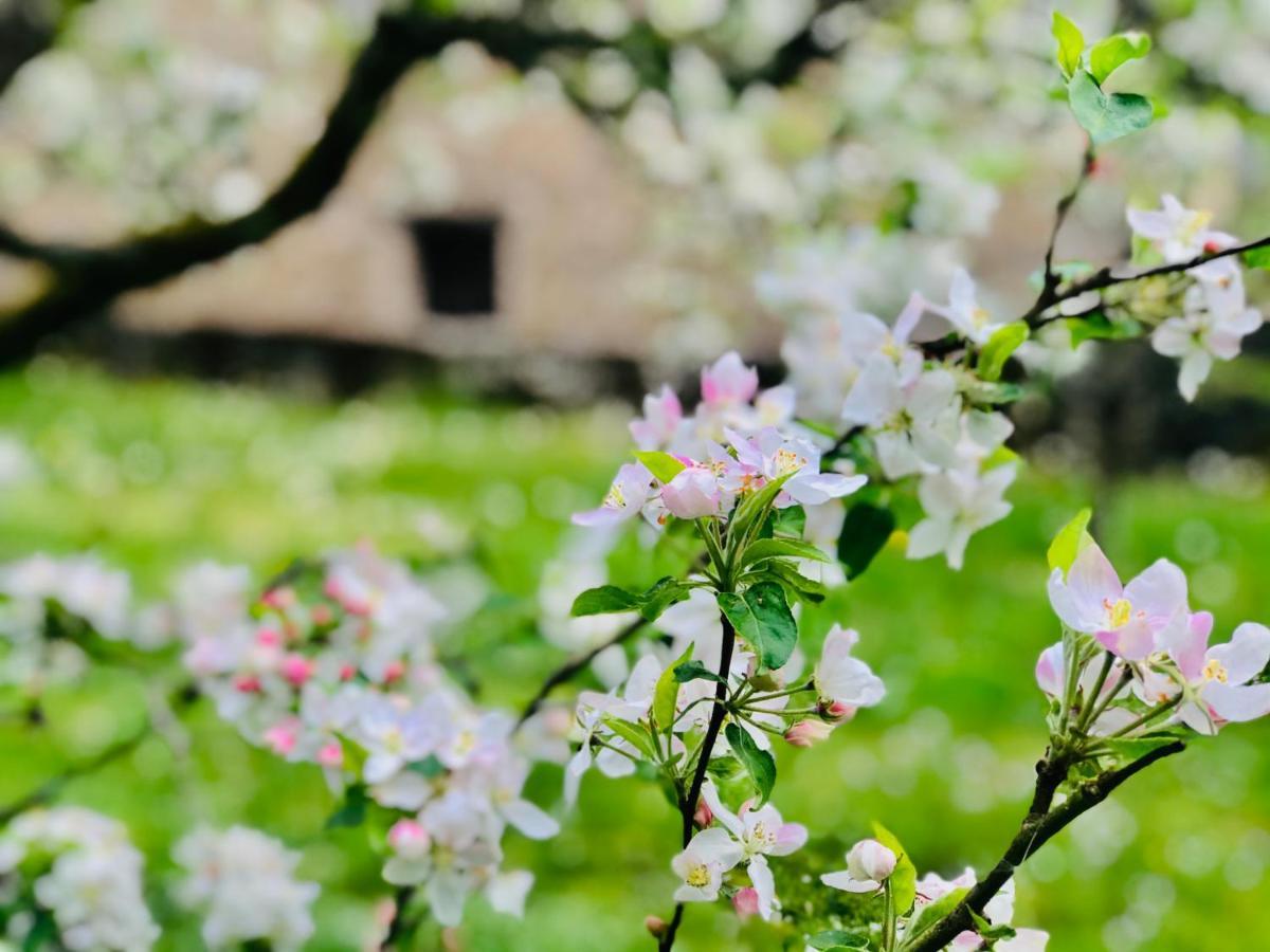 Manoir Saint-Pierre Bed & Breakfast Villersexel ภายนอก รูปภาพ