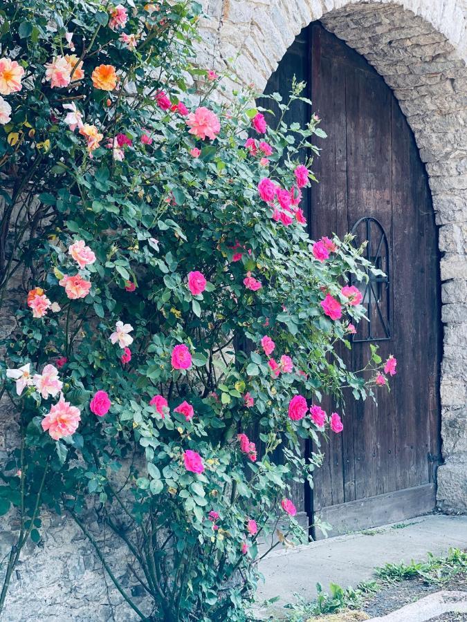 Manoir Saint-Pierre Bed & Breakfast Villersexel ภายนอก รูปภาพ